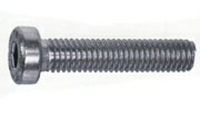 Rustfri unbraco bolt lavt hoved 5 m.m.