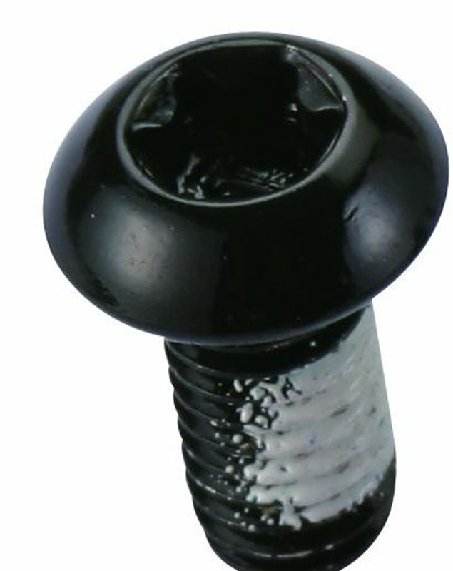 Ashima Rotorbolte stål m5x10 12 stk. Sor